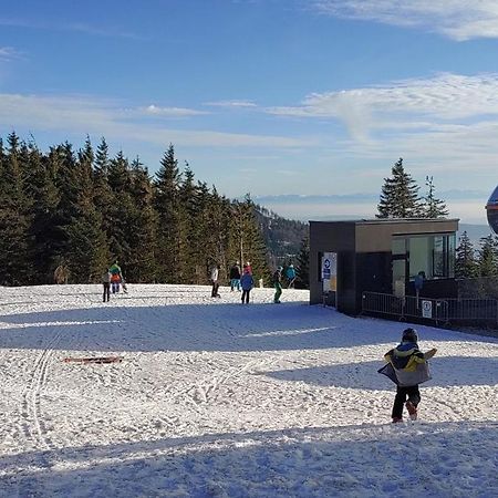 Bdapartmany Lipno nad Vltavou Extérieur photo