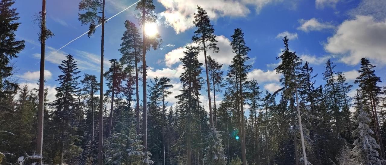 Bdapartmany Lipno nad Vltavou Extérieur photo